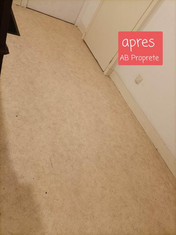 Nettoyage partie communes immeuble  