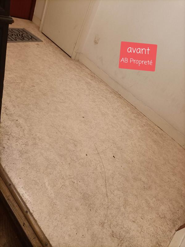 Nettoyage partie communes immeuble  